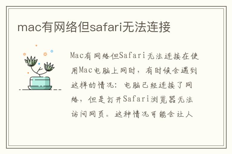 mac有網絡但safari無法連接