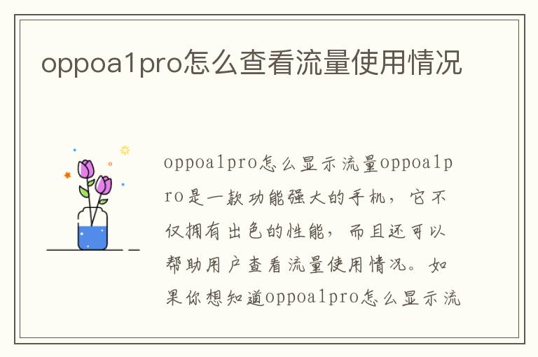 oppoa1pro怎么查看流量使用情況