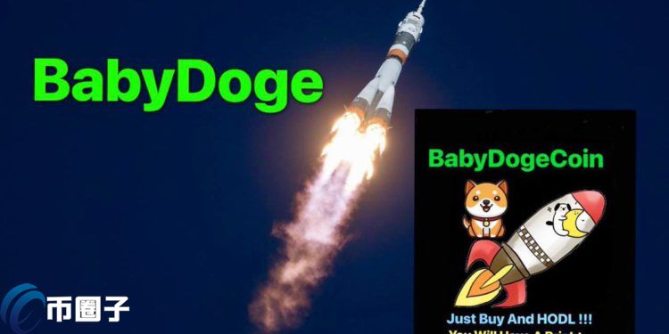 逆市暴漲馬斯克加持的Baby Doge過去24小時漲逾50%